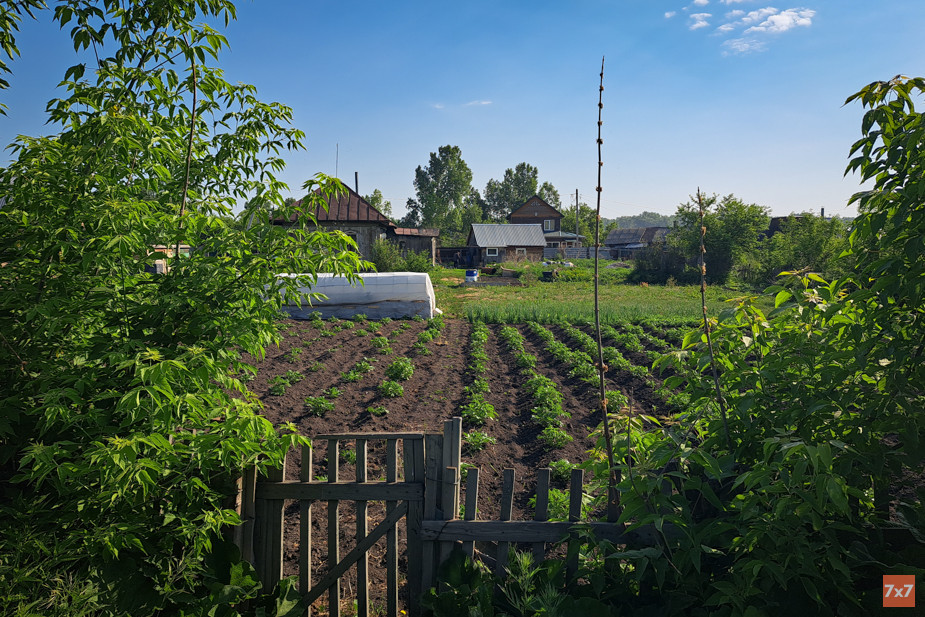 Summer 2023 began with a heat wave - vegetable gardens need good watering. Photo 7x7