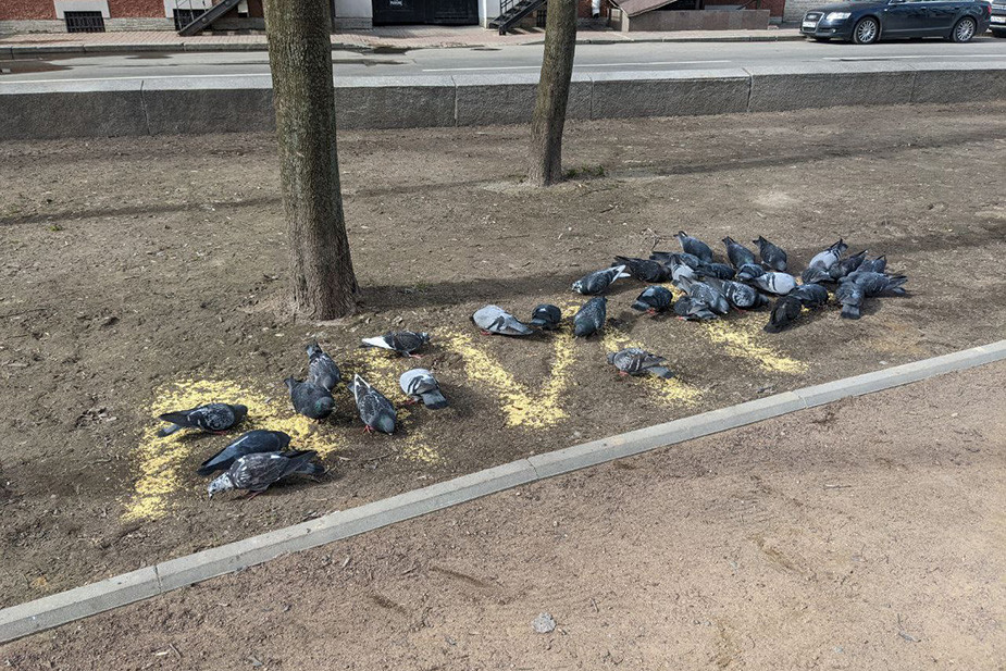 Фото из канала Феминистского антивоенного сопротивления: https://t.me/femagainstwar/